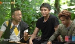 汪涵明哲最新爆料,娱乐圈背后的惊人真相